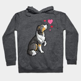 Border collie love (tricolour) Hoodie